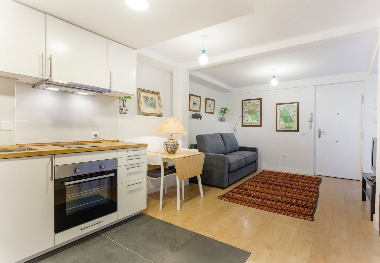 Apartamento en Madrid - Apartamento Chueca V en Madrid 