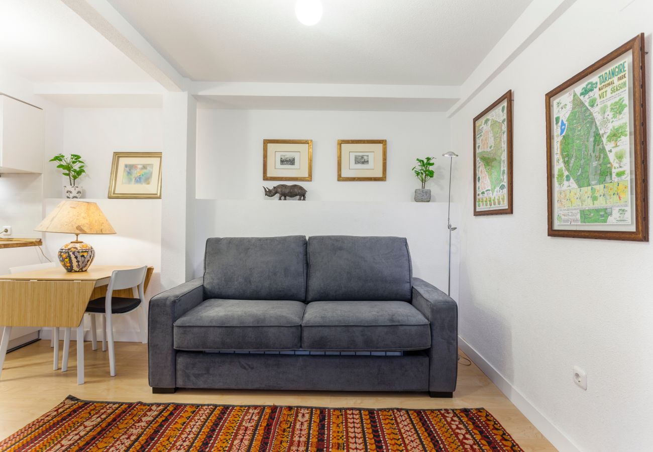 Apartamento en Madrid - Apartamento Chueca V en Madrid 