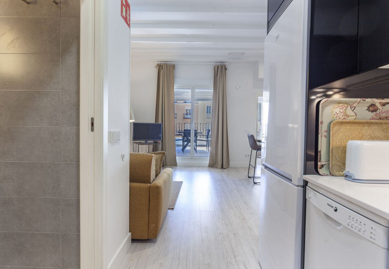 Apartamento en Madrid - Apartamento Olavide Terrace I en Madrid 