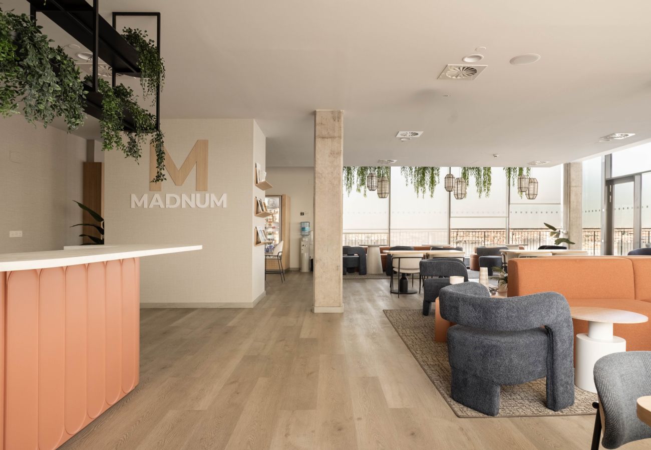 Apartamento en Madrid - Apartamento Madnum Residence XV en Mendez Alvaro
