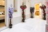 Apartamento en Madrid - Apartamento Salamanca Confort XI en Madrid  Apartamento en Madrid - Apartamento Salamanca Confort XI en Madrid