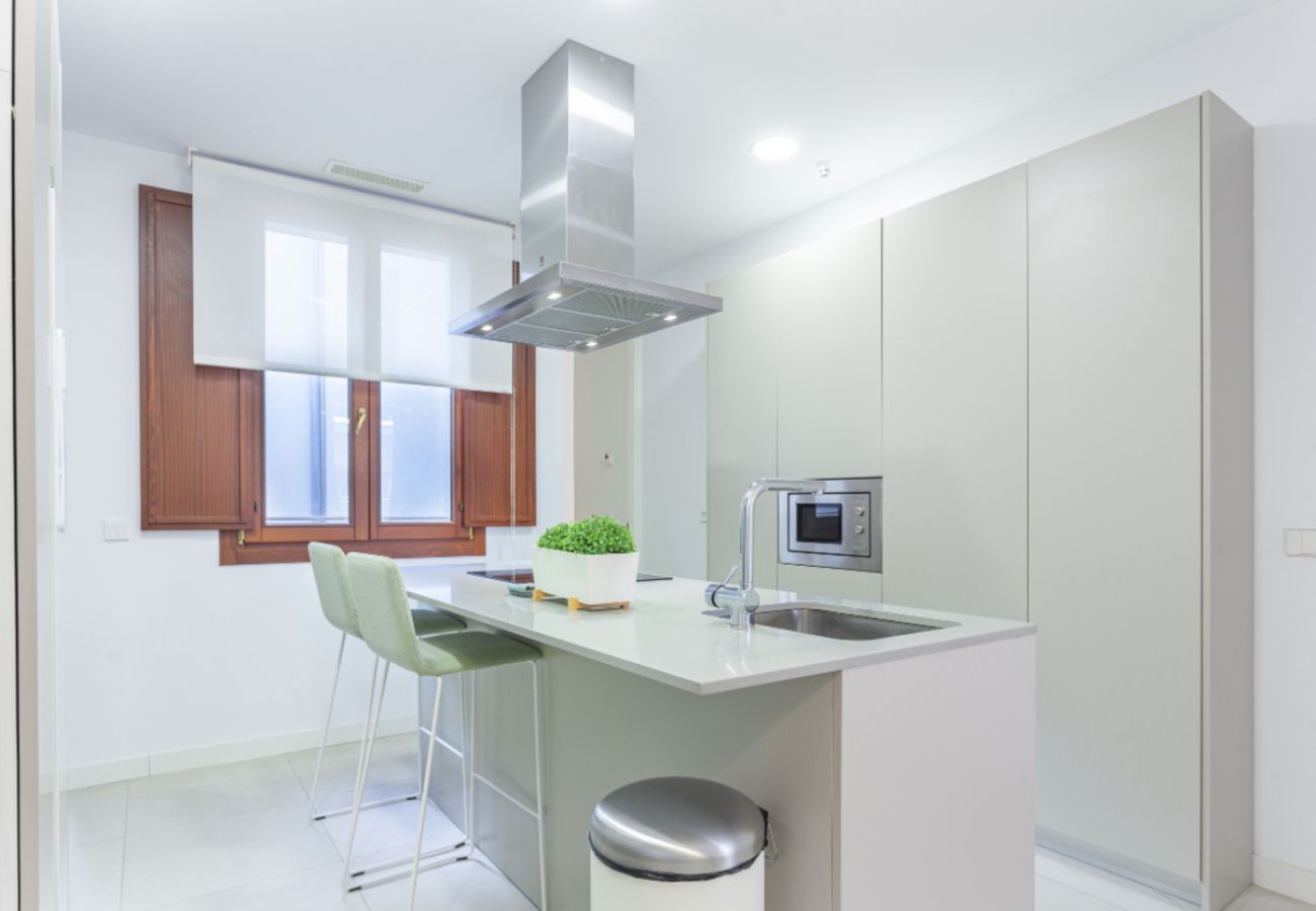 Apartamento en Madrid - Apartamento Bellas Artes V en Madrid 