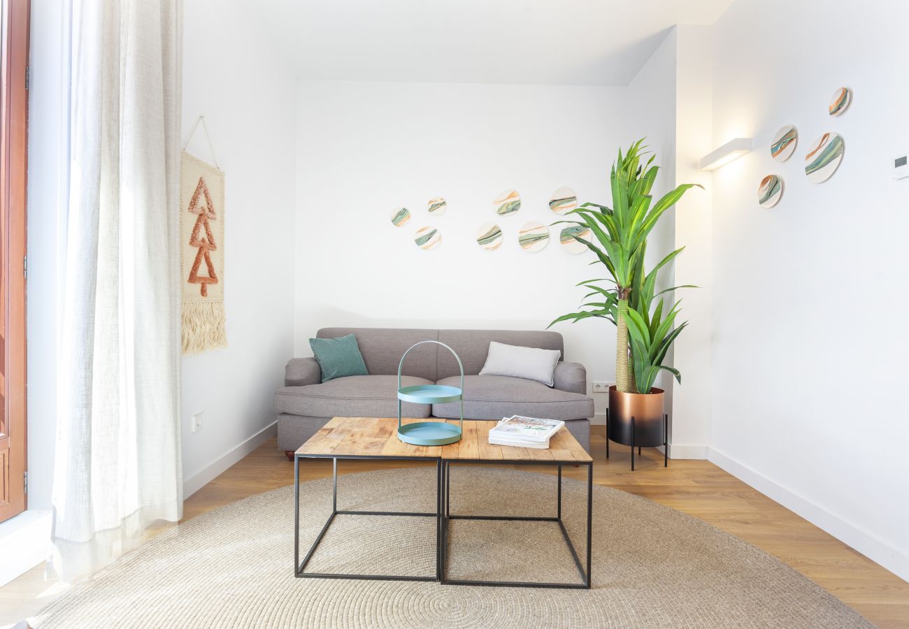 Apartamento en Madrid - Apartamento Bellas Artes VI en Madrid 