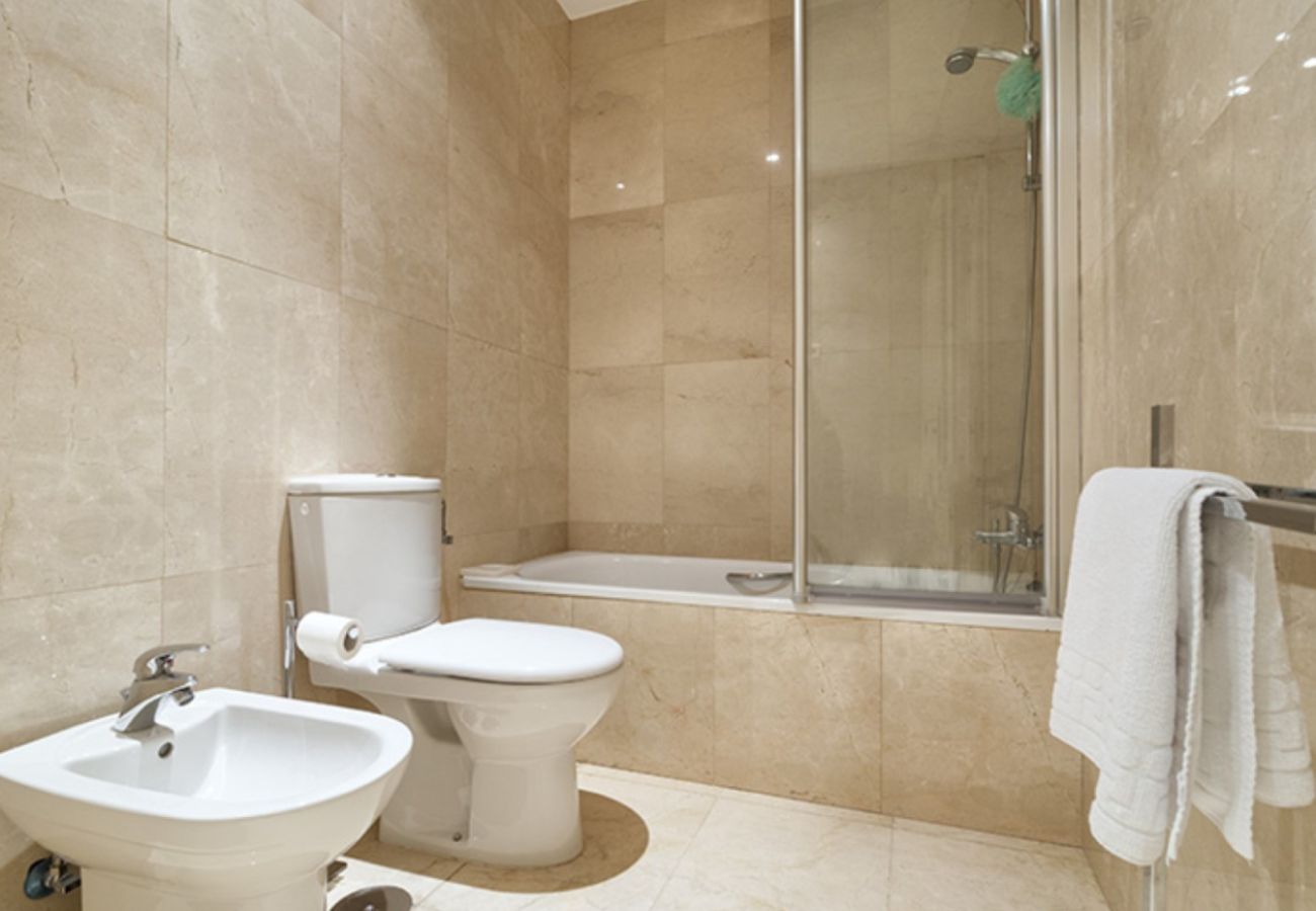 Apartamento en Madrid - Apartamento Principe Terrace en Madrid 