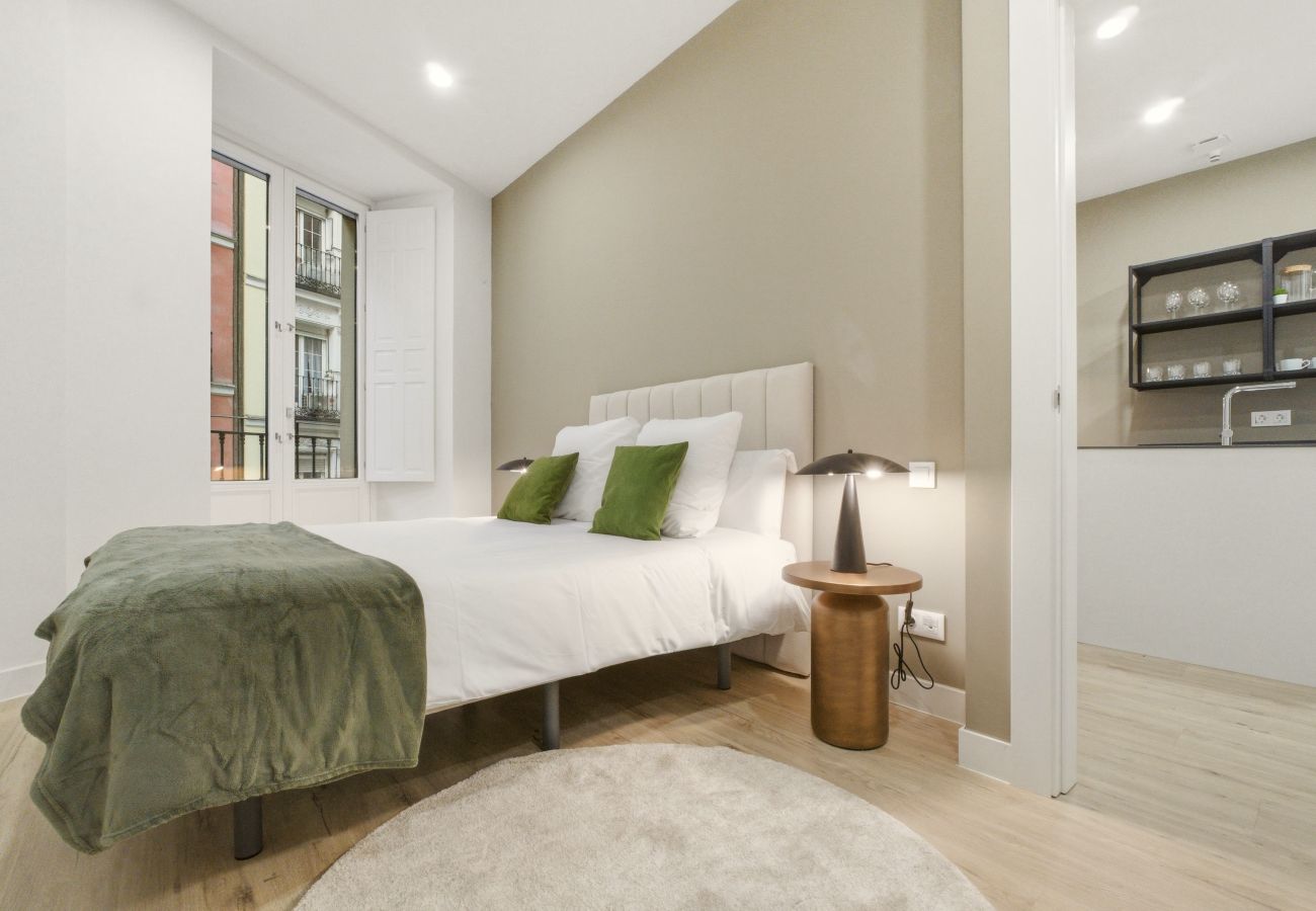 Apartamento en Madrid - Apartamento Teatro I en Madrid 