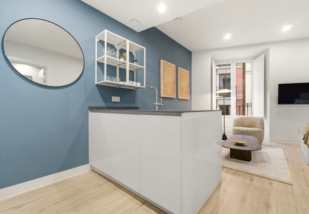 Estudio en Madrid - Apartamento Teatro VI en Madrid 