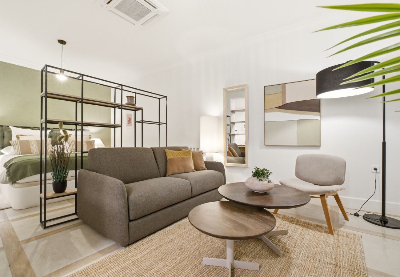 Estudio en Madrid - Apartamento Casa Cortes III en Madrid 