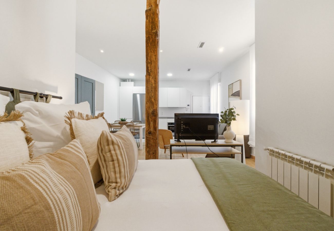 Apartamento en Madrid - Apartamento Casa Cortes V en Madrid 