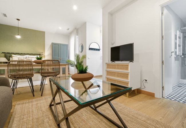 Estudio en Madrid - Apartamento Casa Cortes VI en Madrid 