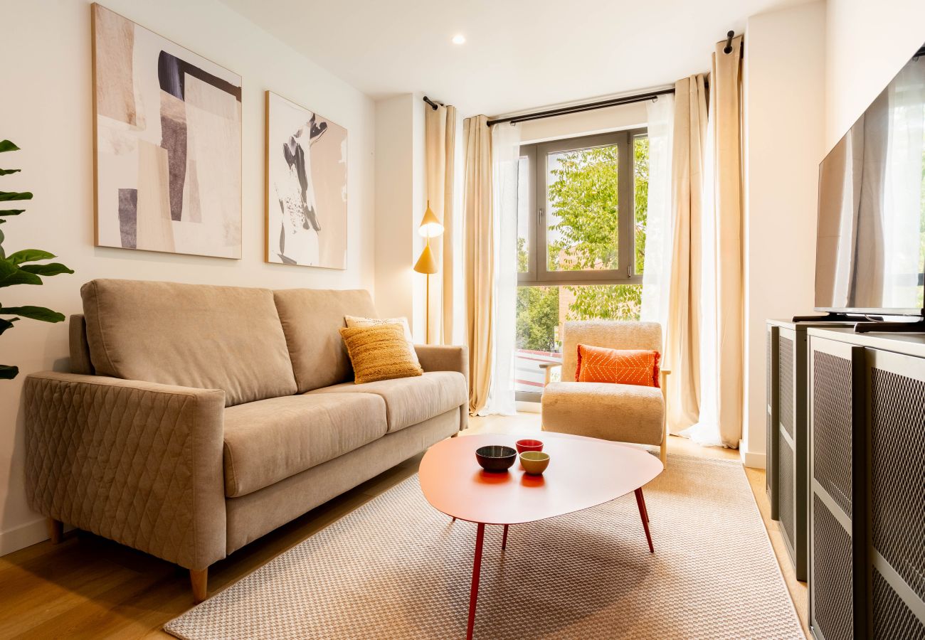 Apartment in Madrid - Alcala XI apartament in Ventas