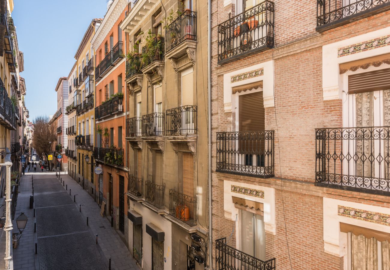 Apartment in Madrid - Tirso apartment in Madrid