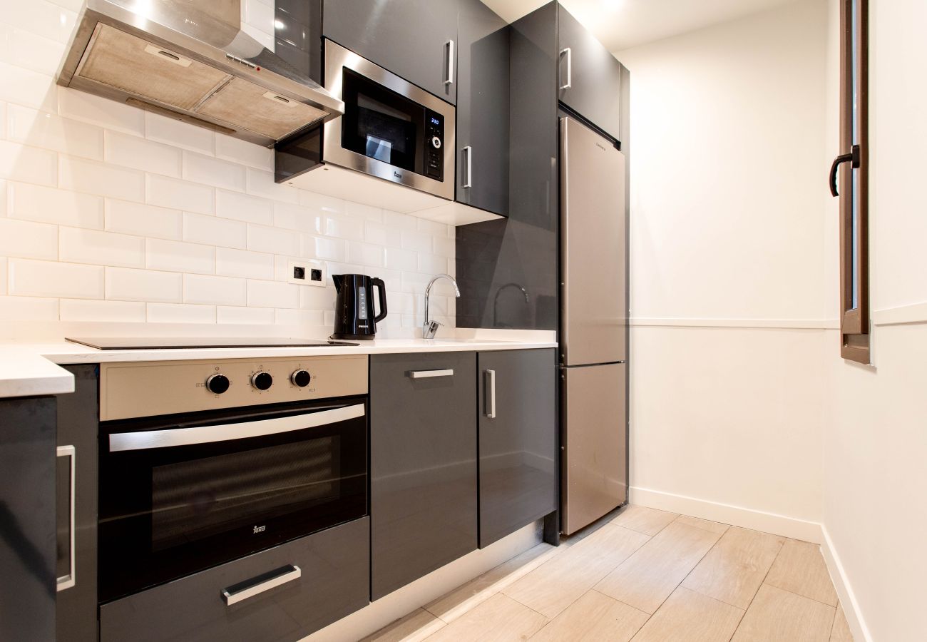 Apartment in Madrid - Apolo V apartment in Tirso de Molina