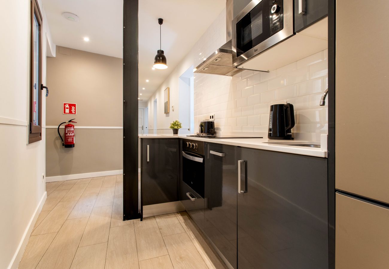 Apartment in Madrid - Apolo V apartment in Tirso de Molina