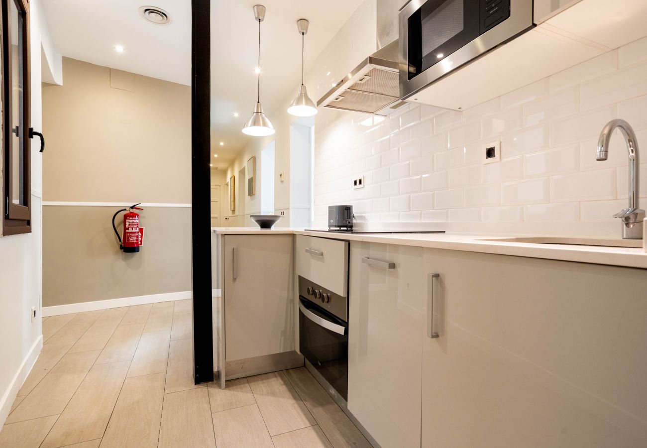 Apartment in Madrid - Apolo II apartment in Tirso de Molina