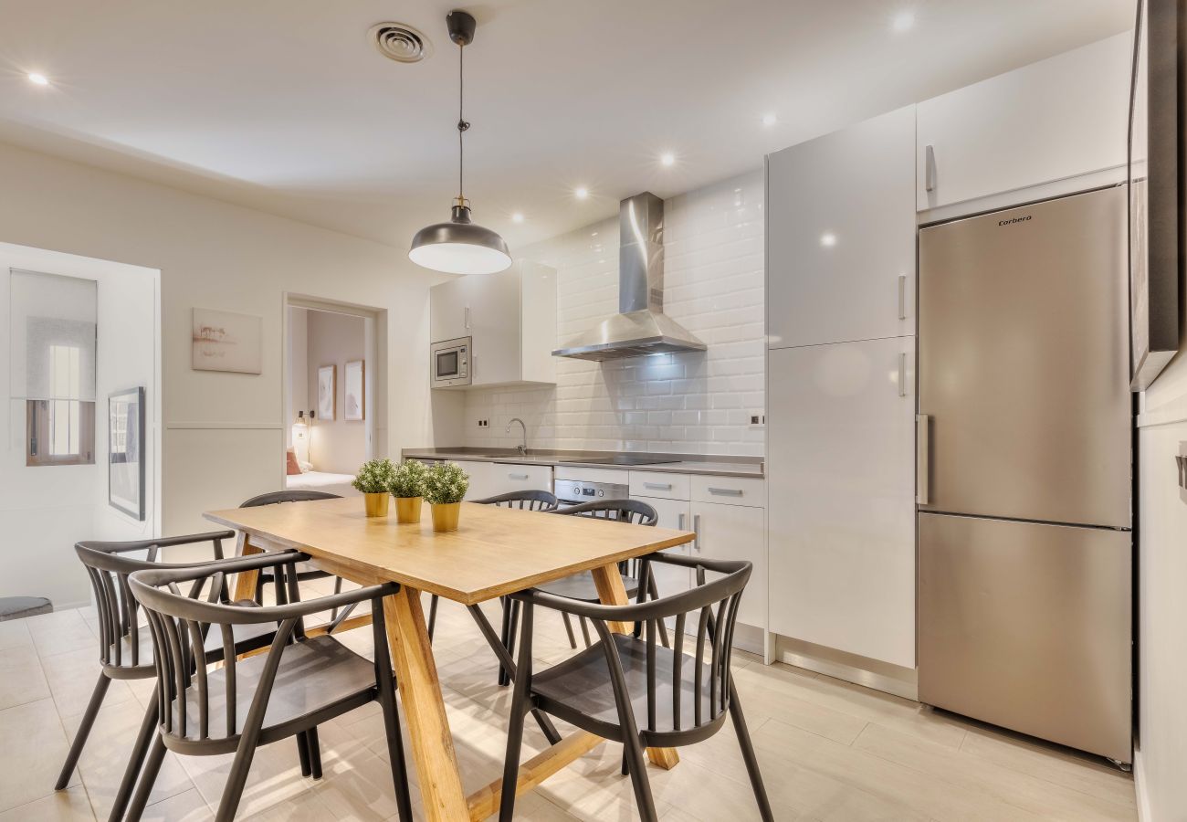Apartment in Madrid - Apolo Loft apartment in Tirso de Molina