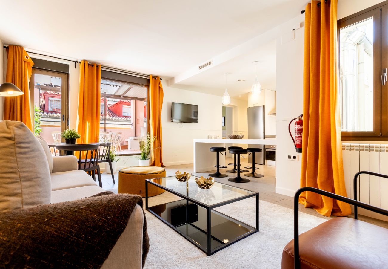 Apartment in Madrid - Apolo Terrace I apartment in Tirso de Molina