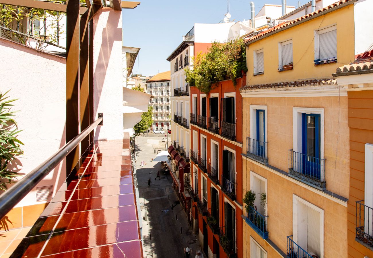 Apartment in Madrid - Apolo Terrace I apartment in Tirso de Molina