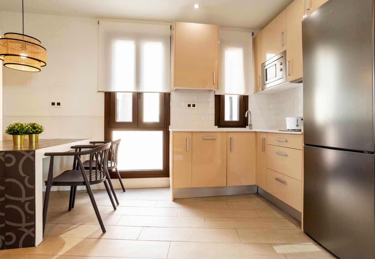 Apartment in Madrid - Apolo Terrace II apartment in Tirso de Molina