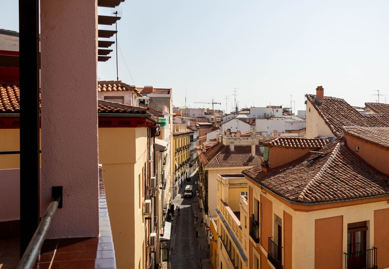 Apartment in Madrid - Apolo Terrace II apartment in Tirso de Molina
