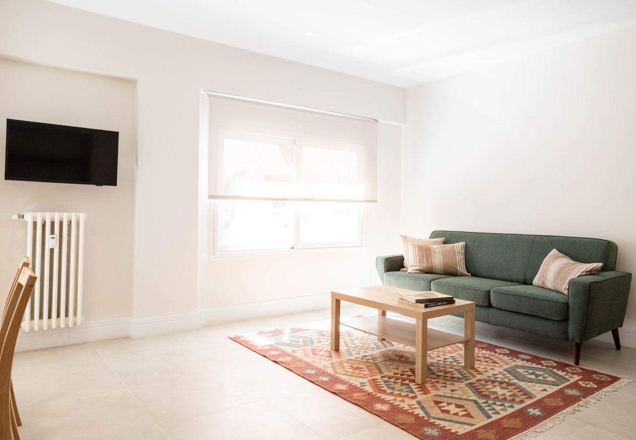 Apartment in Madrid - Paseo de la Habana apartment in Madrid 