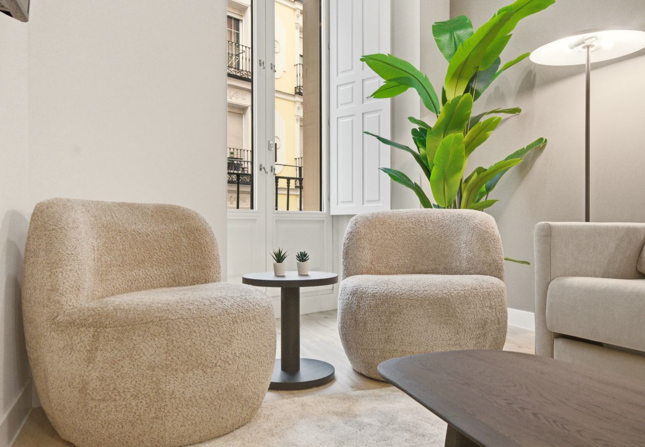 Apartment in Madrid - Teatro I apartment in Madrid