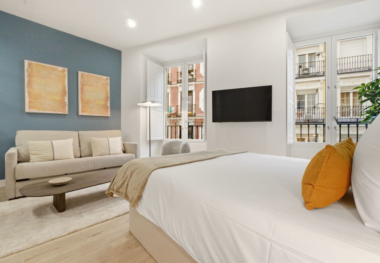 Studio in Madrid - Teatro III apartment in Madrid