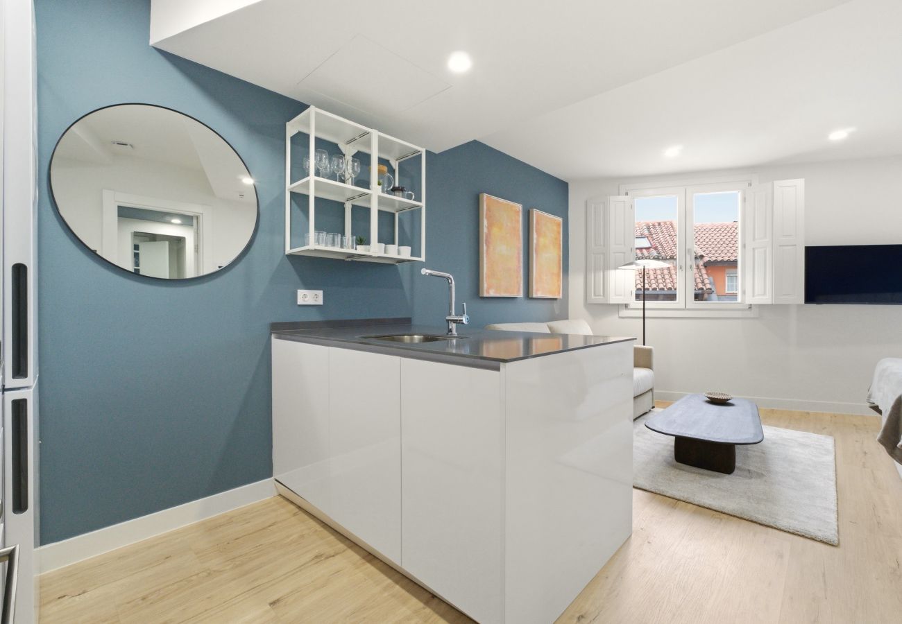 Studio in Madrid - Teatro IX apartment in Madrid