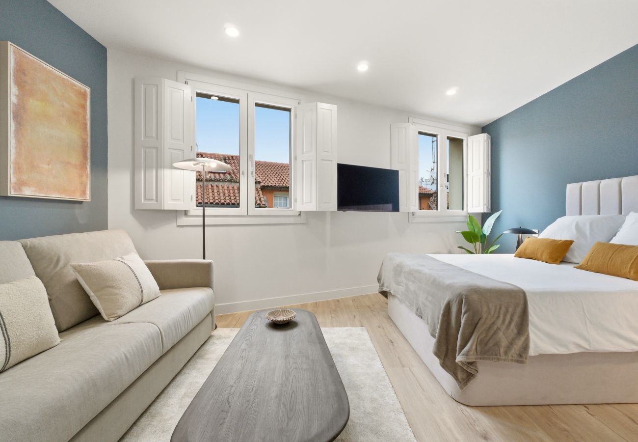 Studio in Madrid - Teatro IX apartment in Madrid
