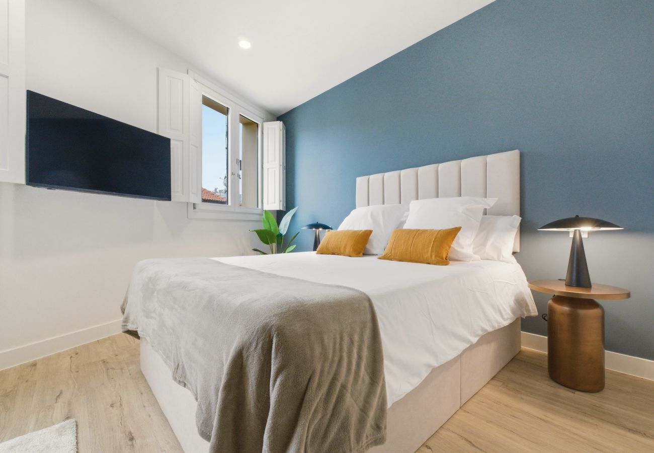 Studio in Madrid - Teatro IX apartment in Madrid