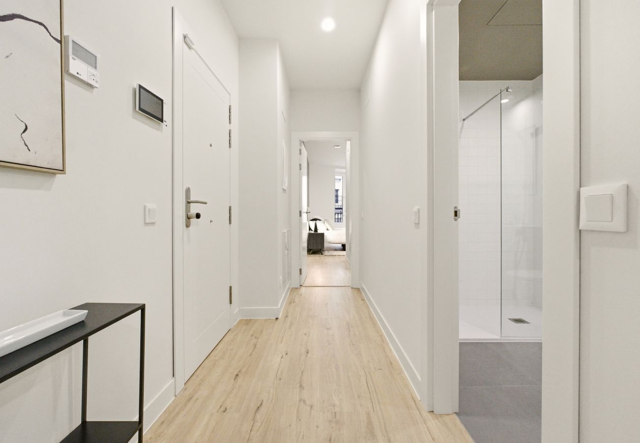Apartment in Madrid - Teatro Terrace II apartment in Madrid 