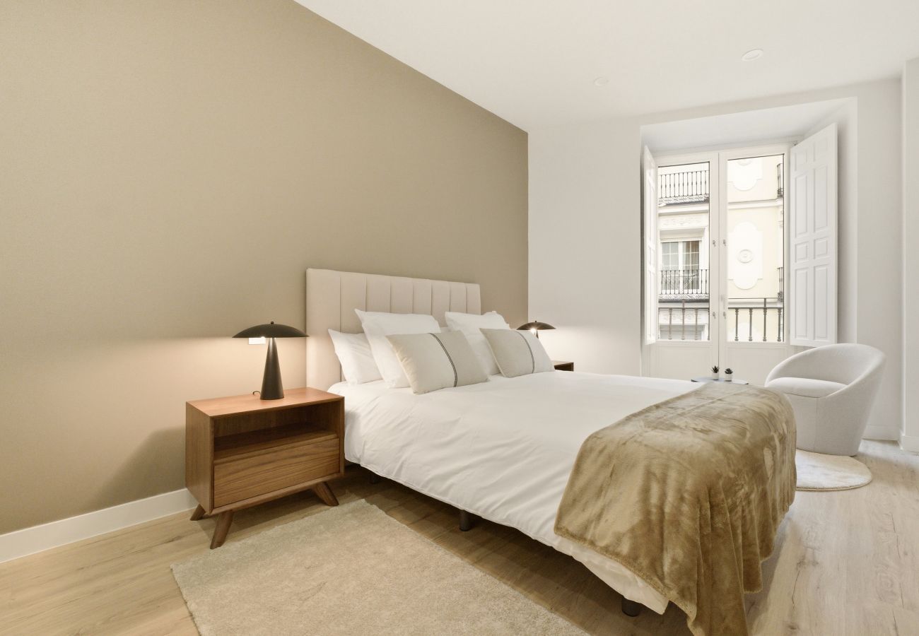 Apartment in Madrid - Teatro Terrace II apartment in Madrid 