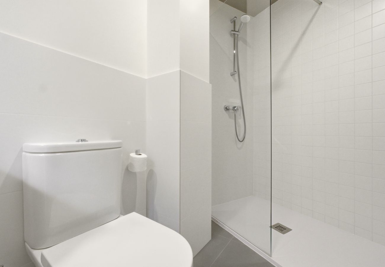 Apartment in Madrid - Teatro Terrace XI apartment in Madrid 