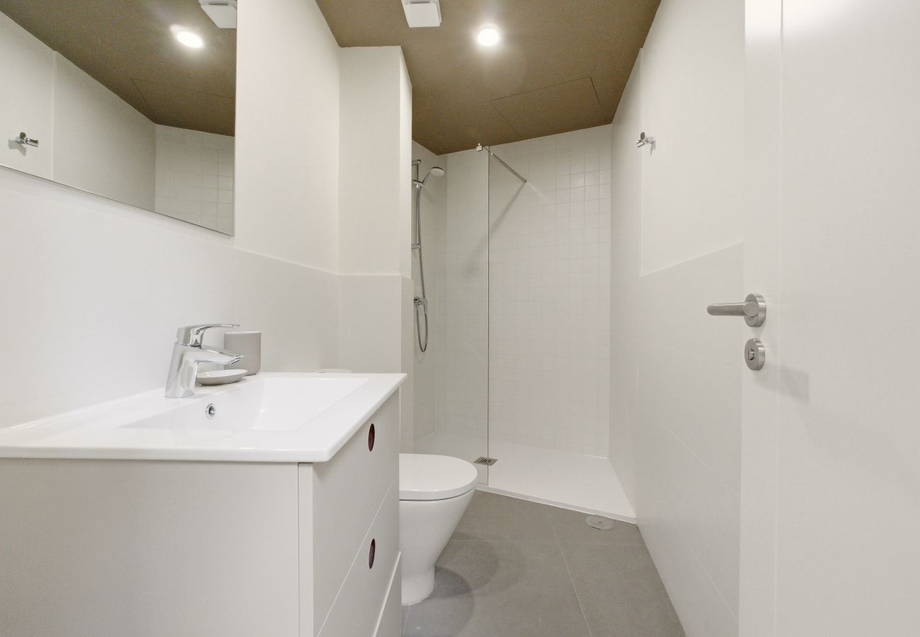 Apartment in Madrid - Teatro Terrace XI apartment in Madrid 