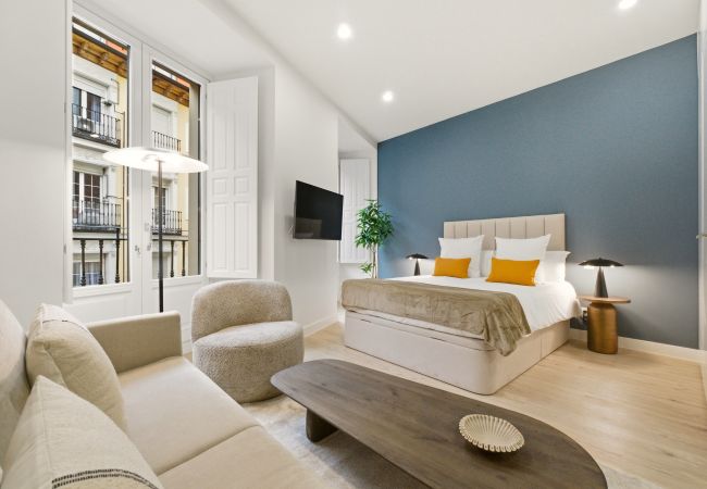 Studio in Madrid - Teatro VI apartment in Madrid