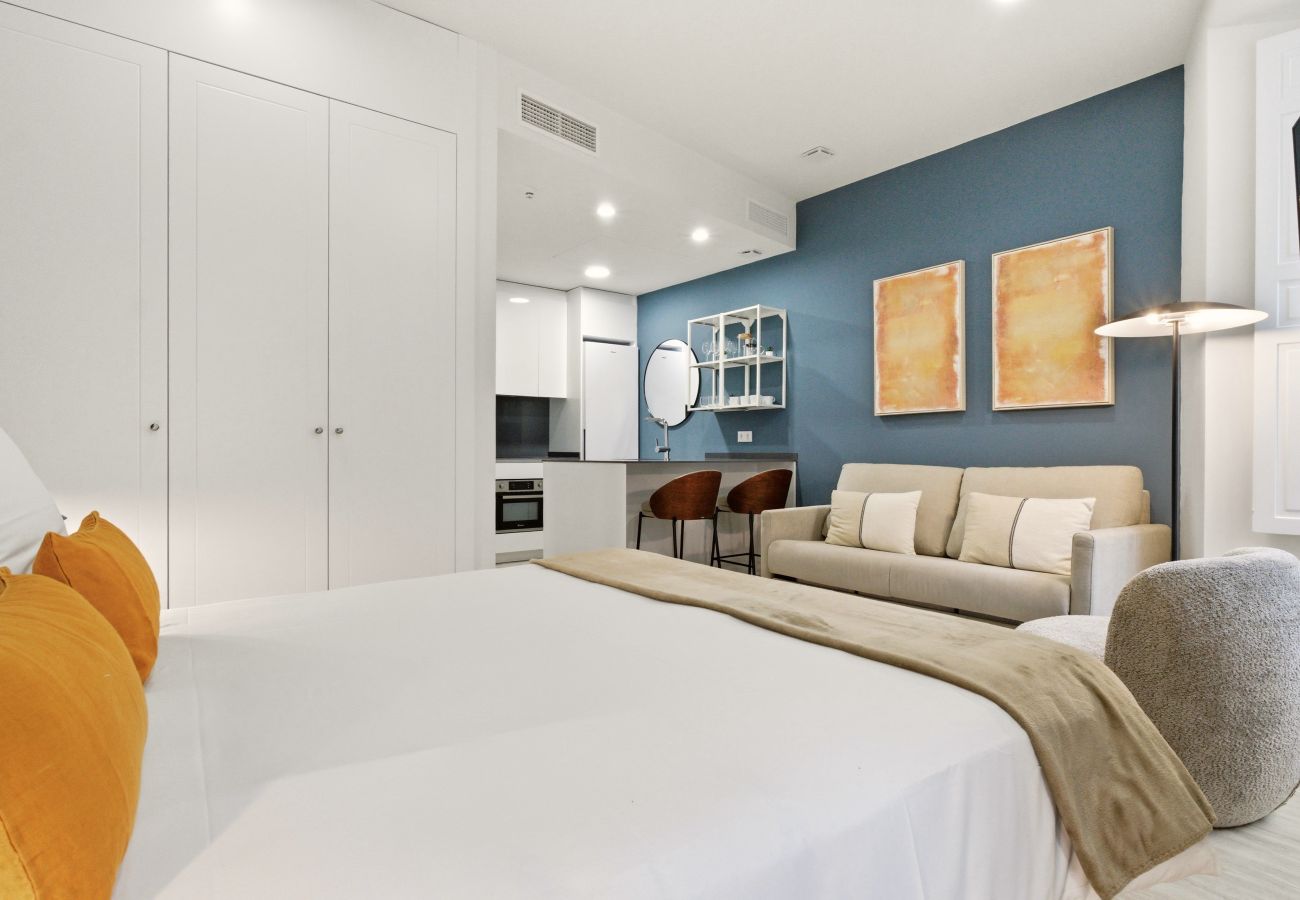 Studio in Madrid - Teatro VI apartment in Madrid