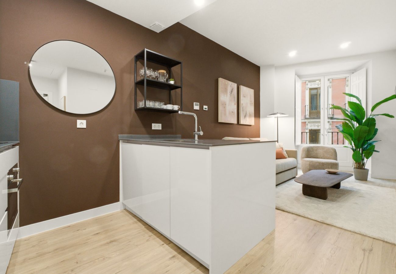 Apartment in Madrid - Teatro VII apartment in Madrid 