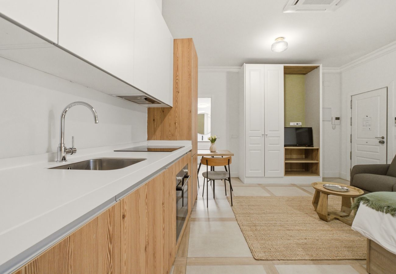 Studio in Madrid - Casa Cortes II apartment in Madrid 