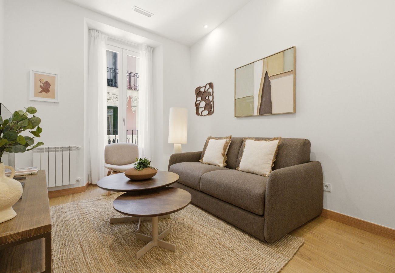 Apartment in Madrid - Casa Cortes IV apartment in Madrid 