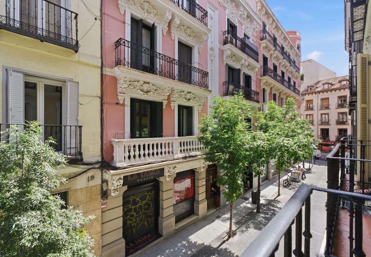 Apartment in Madrid - Casa Cortes IV apartment in Madrid 