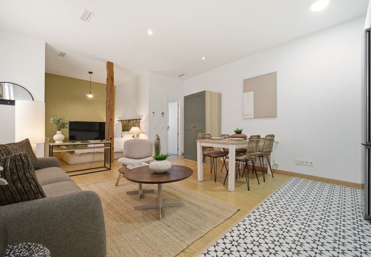 Apartment in Madrid - Casa Cortes V apartment in Madrid 