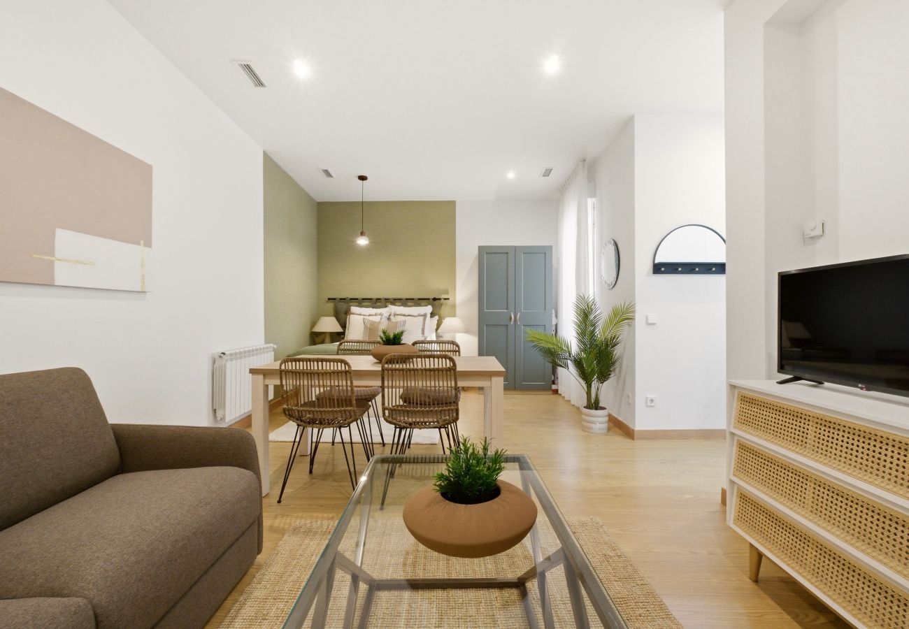 Studio in Madrid - Casa Cortes VI apartment in Madrid 