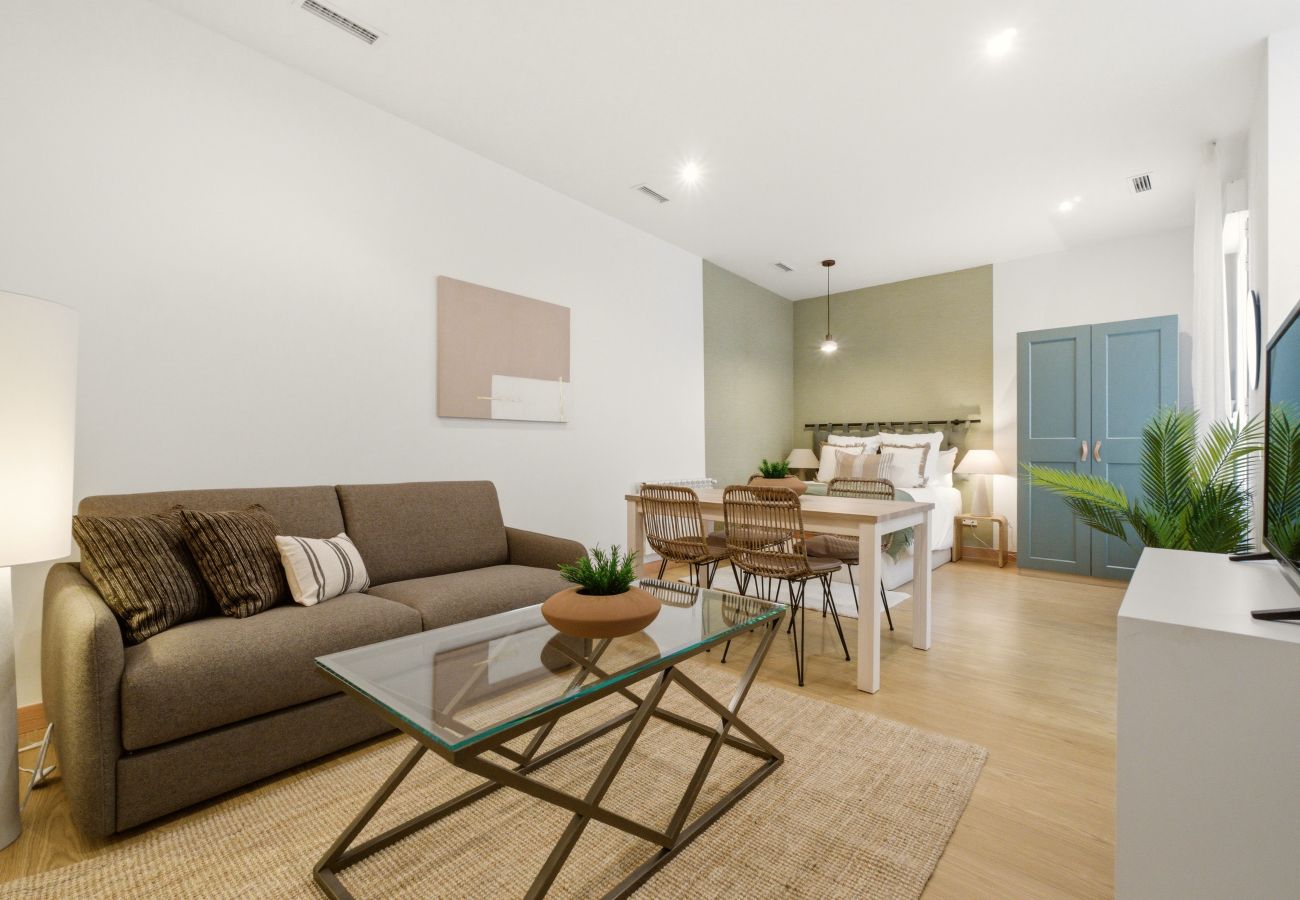 Studio in Madrid - Casa Cortes VI apartment in Madrid 