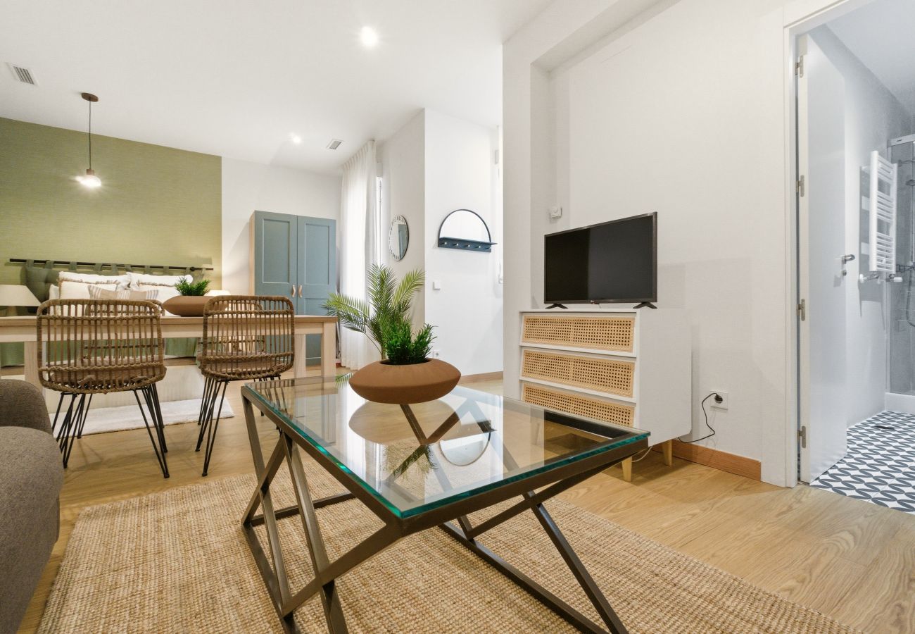 Studio in Madrid - Casa Cortes VI apartment in Madrid 