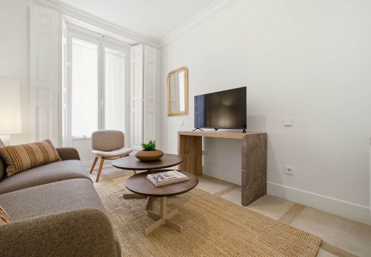 Apartment in Madrid - Casa Cortes VII apartment in Madrid 