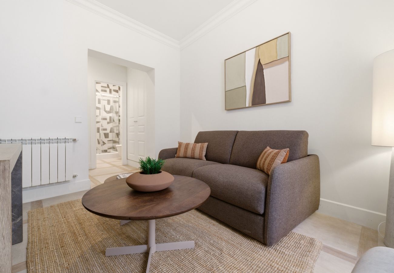 Apartment in Madrid - Casa Cortes VII apartment in Madrid 