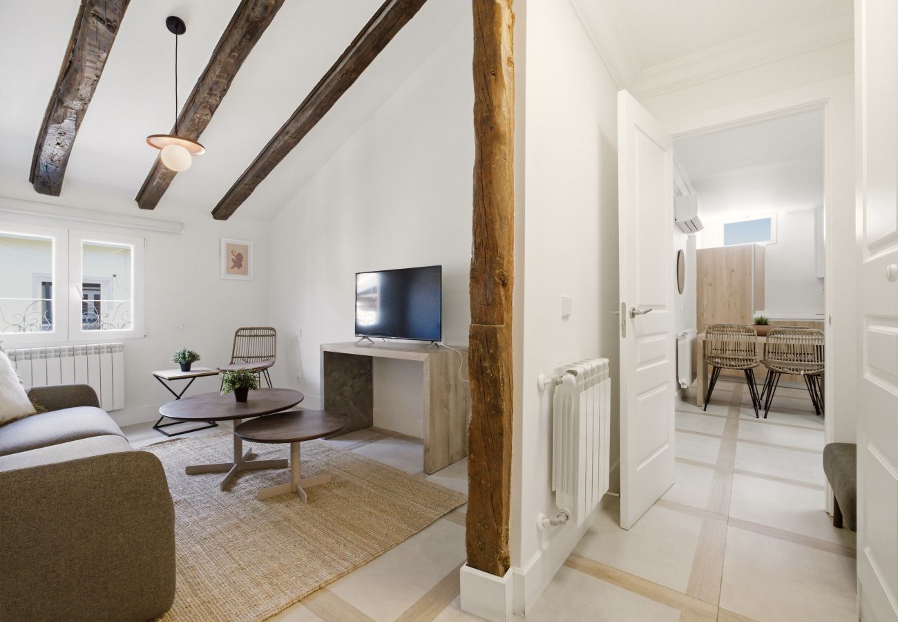 Apartment in Madrid - Casa Cortes XIII apartment in Madrid 