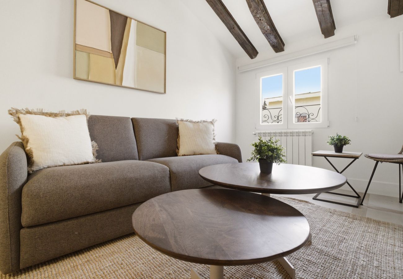 Apartment in Madrid - Casa Cortes XIII apartment in Madrid 