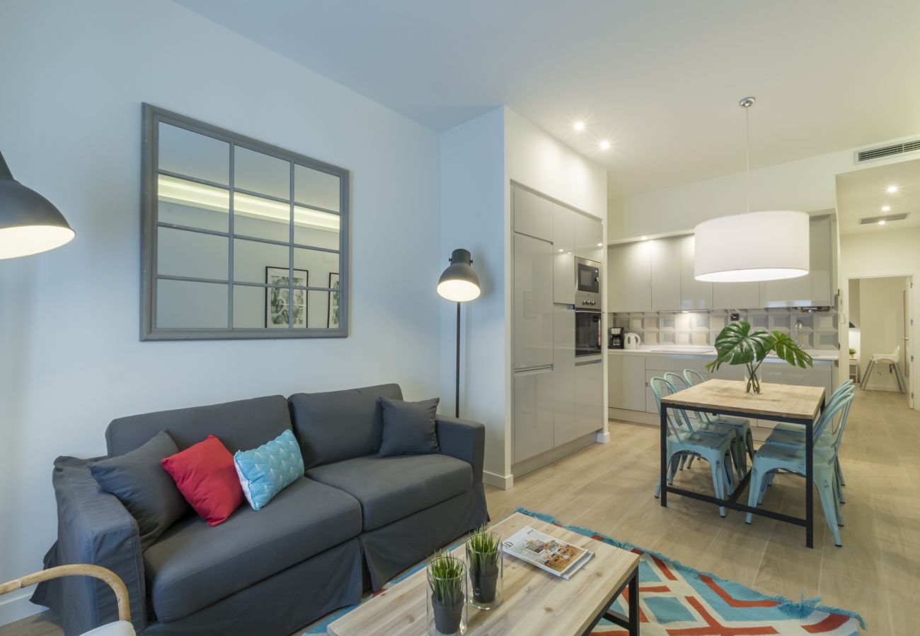 Apartment in Madrid - Bravo II apartment in Madrid 