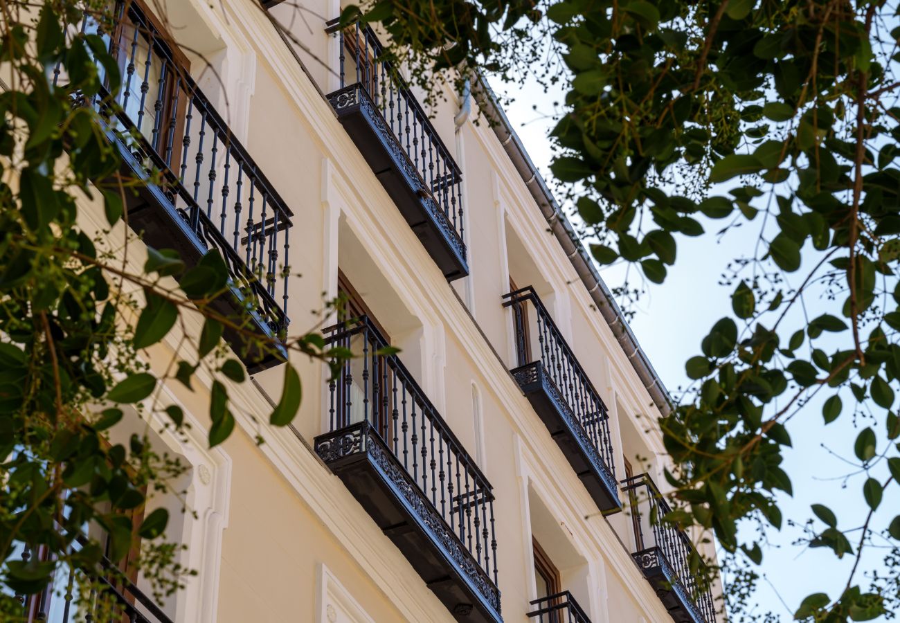 Apartment in Madrid - Travesia Madrid I apartment