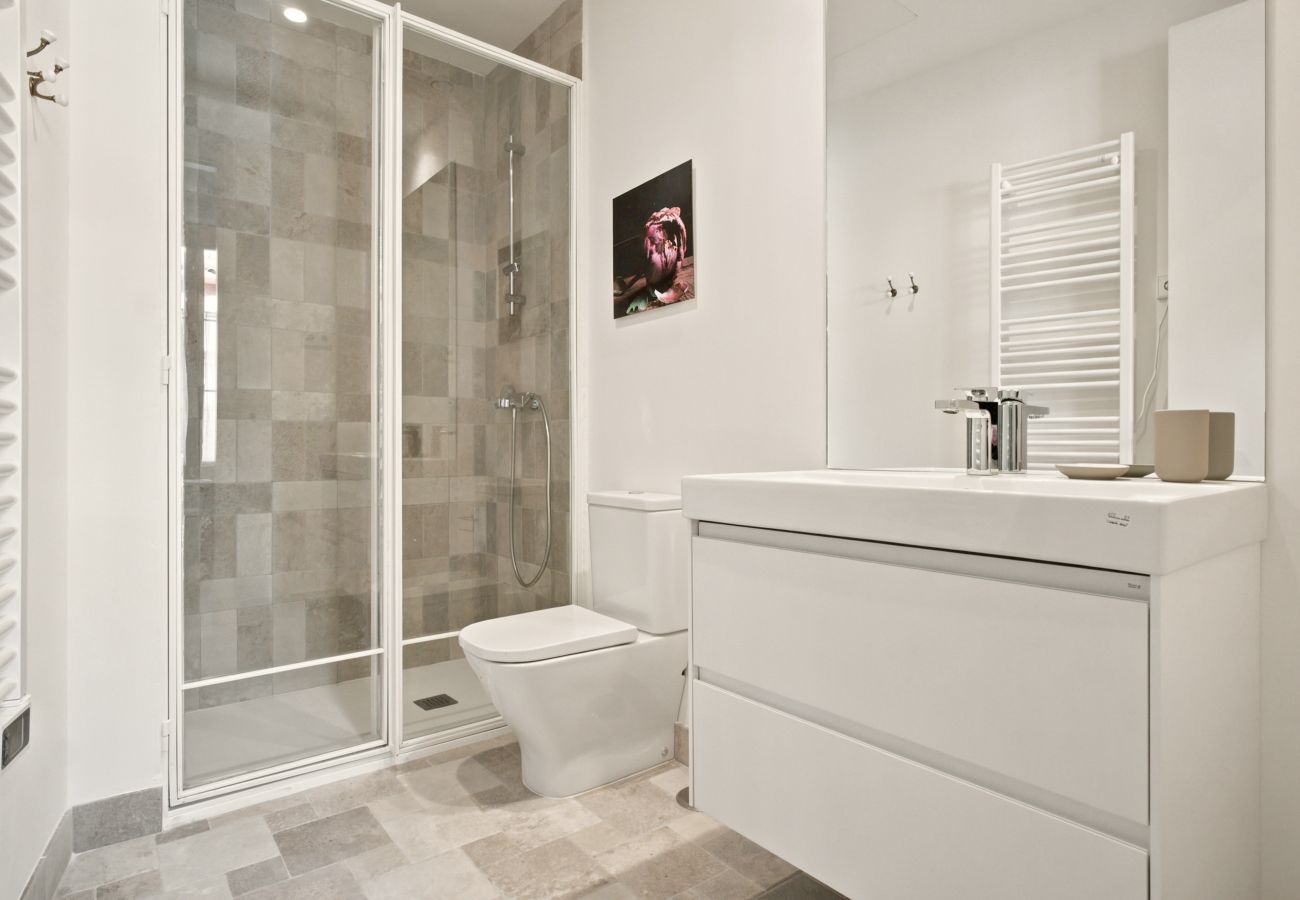 Apartment in Madrid - Travesia Madrid II apartment